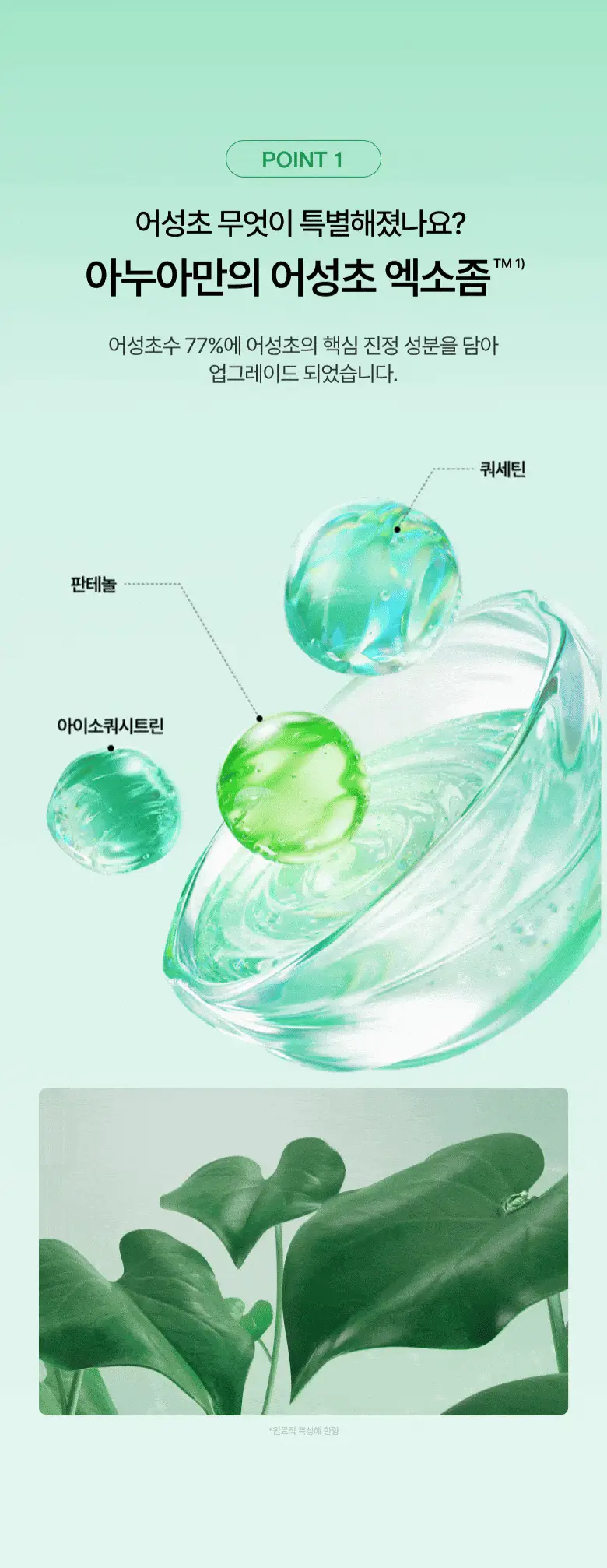[NEW/리뉴얼] 아누아 어성초 77 히알루론산 수분 진정 토너 350ml 상세페이지 11